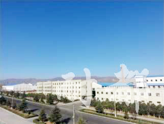 Factory bird's eye